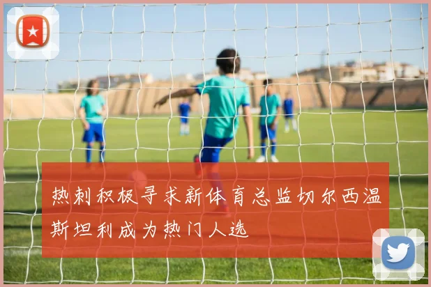 热刺积极寻求新体育总监切尔西温斯坦利成为热门人选