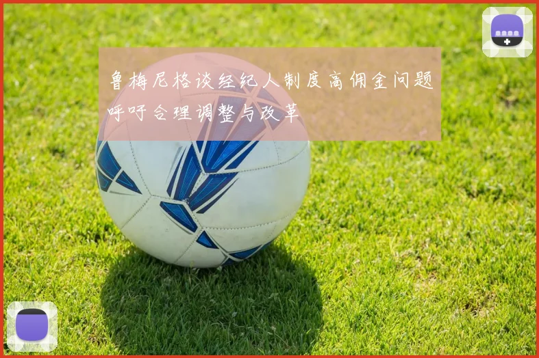 鲁梅尼格谈经纪人制度高佣金问题呼吁合理调整与改革