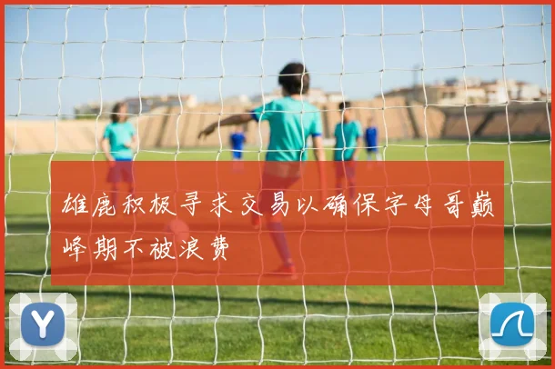 雄鹿积极寻求交易以确保字母哥巅峰期不被浪费