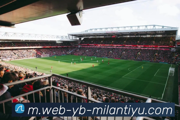 App Interface Preview