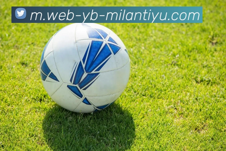 米兰体育APP 封面图